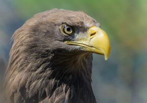 _DSC0764