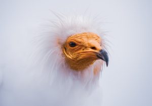 _DSC7660