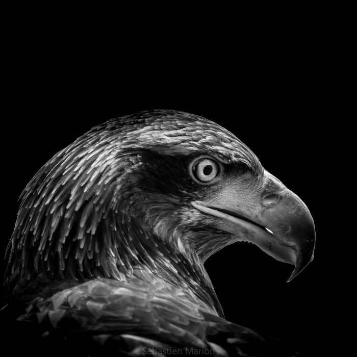 _DSC8052