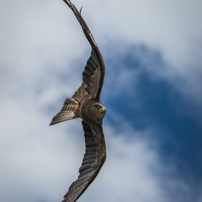 _DSC8144